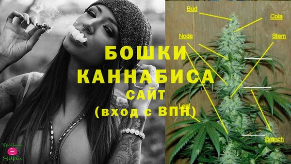 крисы Верея