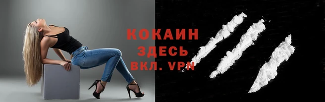 крисы Верея