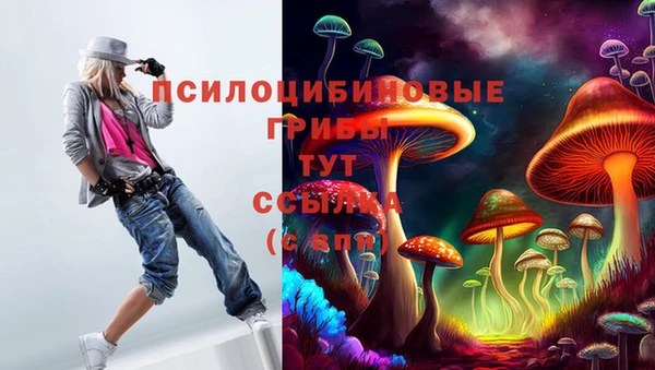 крисы Верея