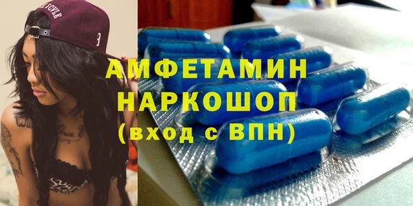 индика Бородино