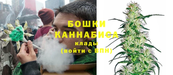 крисы Верея