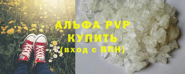 крисы Верея