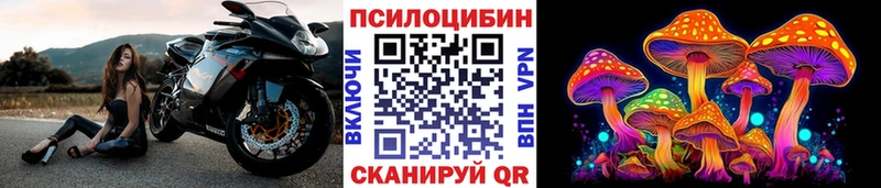 Купить где  Бежецк  Псилоцибиновые грибы ЛСД 